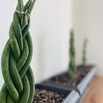 Apartman Eora