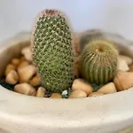 Eora