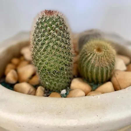 Eora